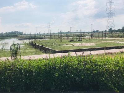 Project Image of 1500.0 - 3883.0 Sq.ft Residential Plot Plot for buy in Signature Park Sector 1