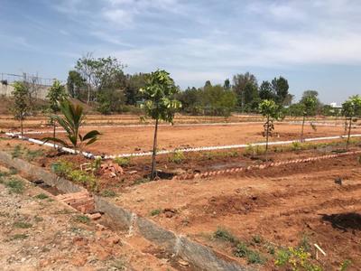Project Image of 5990.0 - 16335.0 Sq.ft Residential Plot Plot for buy in Adithya DMR Farms