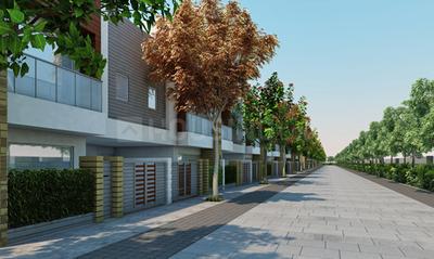 Project Images