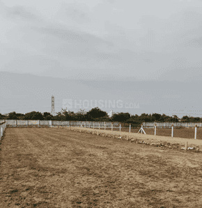 Project Images