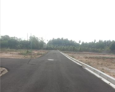 Project Images