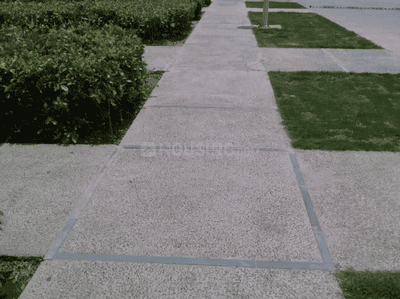 Project Images