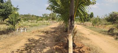 Project Image of 1089.0 - 5445.0 Sq.ft Residential Plot Plot for buy in Vaishnavi Emerald