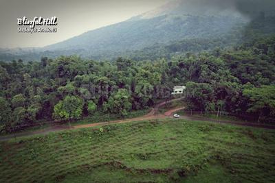 Project Image of 1700.0 - 7087.0 Sq.ft Residential Plot Plot for buy in Blissful Hills
