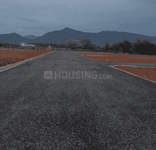 Project Images