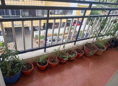 Project Image of 910.0 - 1225.0 Sq.ft 2 BHK Apartment for buy in Karishma Classic