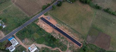 Project Images