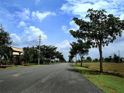 Project Image of 1180.0 - 5000.0 Sq.ft Residential Plot Plot for buy in Enrich Akshaya Meadows
