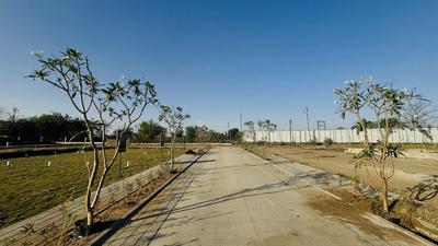 Project Image of 1319.87 - 3892.98 Sq.ft Residential Plot Plot for buy in Kalpataru Ardene