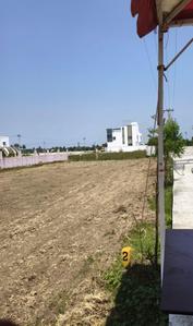 Project Image of 1181.0 - 1747.0 Sq.ft Residential Plot Plot for buy in Sri Indhra Nagar