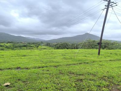 Project Image of 1000.0 - 3000.0 Sq.ft Residential Plot Plot for buy in Bhoomi Plots In Chavni