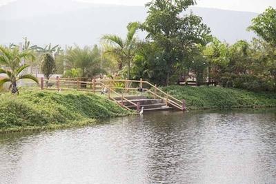 Project Image of 720.0 - 4500.0 Sq.ft Residential Plot Plot for buy in Chilukuri Brundavan Estates