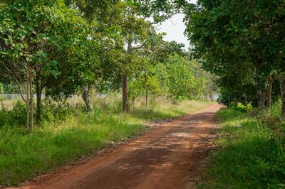Project Image of 903.74 - 4717.07 Sq.ft Residential Plot Plot for buy in Suryo Udyog Green Village