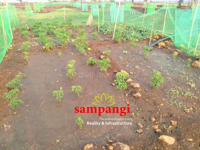 Project Image of 5445.0 - 43560.0 Sq.ft Residential Plot Plot for buy in Sampangi The Treasure Valley