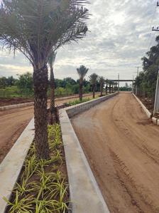 Project Image of 1440.0 - 2700.0 Sq.ft Residential Plot Plot for buy in Sai Brundavan