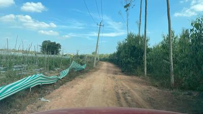 Project Image of 5178.0 - 11433.0 Sq.ft Residential Plot Plot for buy in PK Mango Nest Farmlands