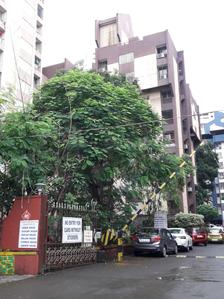 Swaraj Homes Cedar House Elevation 1