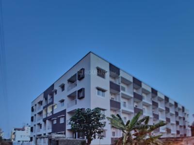 Project Images