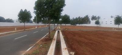 Project Image of 2358.0 - 4008.0 Sq.ft Residential Plot Plot for buy in Daisy Garden