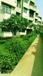 Project Image of 373.83 - 616.66 Sq.ft 1 BHK Apartment for buy in Grow Riverside Greens