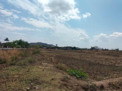 Project Image of 1000.0 - 5000.0 Sq.ft Residential Plot Plot for buy in Rama Naina TPS