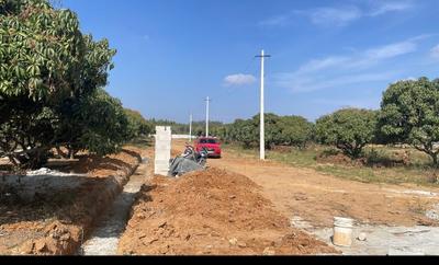 Project Image of 5178.0 - 11433.0 Sq.ft Residential Plot Plot for buy in PK Mango Nest Farmlands