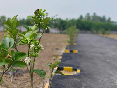 Project Image of 600.0 - 2400.0 Sq.ft Residential Plot Plot for buy in Venture Kumaran Garden