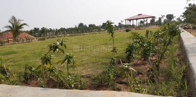 Amrat Doctors Colony Plot 1