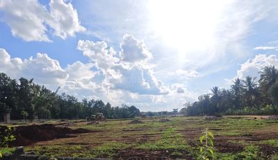 Project Image of 948.09 - 11621.47 Sq.ft Residential Plot Plot for buy in Ashwasurya Legacy