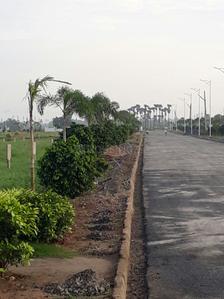 Project Image of 1512.0 - 2250.0 Sq.ft Residential Plot Plot for buy in Sree City