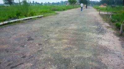 Project Image of 1440.0 - 3600.0 Sq.ft Residential Plot Plot for buy in Greenview Aparajita Garden