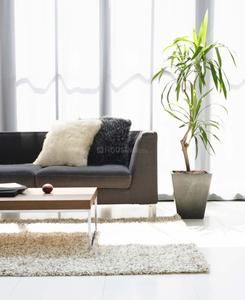 Project Image of 277.71 - 989.85 Sq.ft 1 BHK Apartment for buy in Atharv Shagun