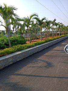 Project Image of 0.0 - 1800.0 Sq.ft Residential Plot Plot for buy in SRR Gachibowli Paradise Phase 7