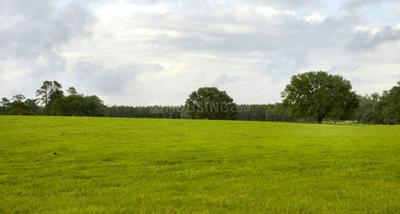 Project Image of 720.0 - 3600.0 Sq.ft Residential Plot Plot for buy in Mega Amravati