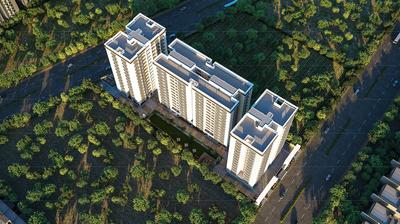 Viva Luxuria Elevation 3