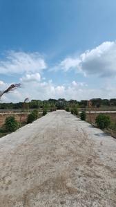 Project Image of 600.0 - 1260.0 Sq.ft Residential Plot Plot for buy in Radha Paradise 1