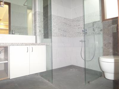 Project Images