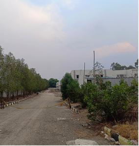 Sark Town Homes Elevation 1