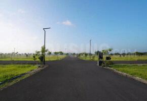 Project Images