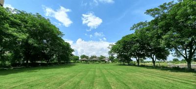 Project Image of 268.77 - 11657.96 Sq.ft 2 BHK Apartment for buy in Wallfort Wood Phase II