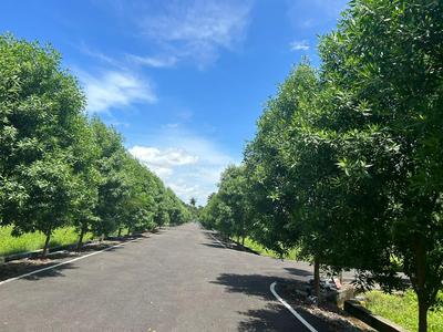 Project Image of 600.0 - 1243.0 Sq.ft Residential Plot Plot for buy in Premier Saraswathi Nagar