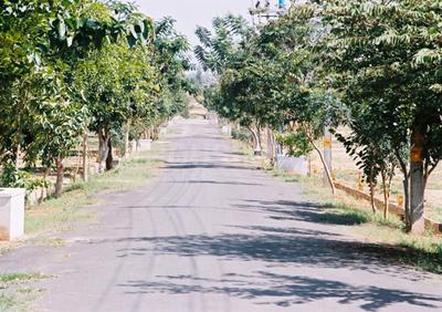 Project Image of 1850 Sq.ft Residential Plot / Land for sale in Bukkasagara for Rs. 6475000