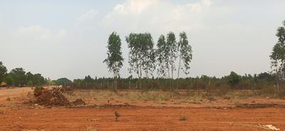 Project Image of 750.0 - 4000.0 Sq.ft Residential Plot Plot for buy in Esteem Airfield