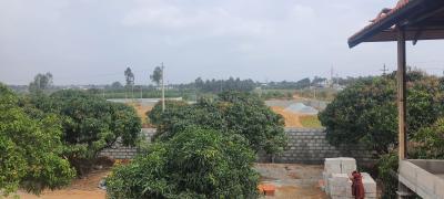 Project Image of 5178.0 - 11433.0 Sq.ft Residential Plot Plot for buy in PK Mango Nest Farmlands