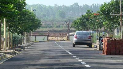 Project Image of 1200.0 - 2000.0 Sq.ft Residential Plot Plot for buy in MDS Green Avenue