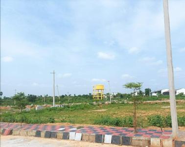 Project Image of 1593.06 - 3229.17 Sq.ft Residential Plot Plot for buy in Sai Renuka Yadadri Enclave