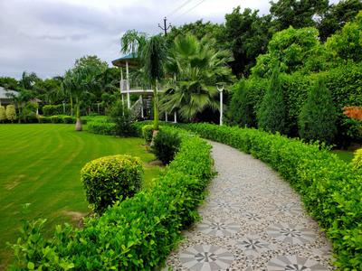 Project Image of 0.0 - 9072.0 Sq.ft Residential Plot Plot for buy in Sawera Country Farm