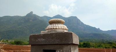 Project Image of 1000.0 - 15681.0 Sq.ft Residential Plot Plot for buy in Chettinad Farms