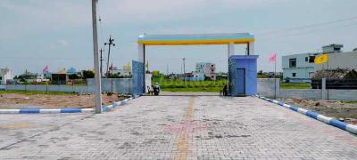 Project Images