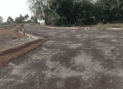 Project Images
